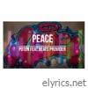 PEACE (feat. Beats Provider) - Single