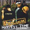 Potluck - Harvest Time