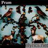 Pram - The Museum of Imaginary Animals