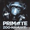 Primate - Zoo-nahuatl