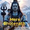 Mere Bholenath - Single