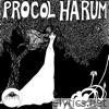 Procol Harum (2009 remaster)
