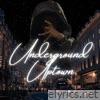 1 Minute Freestyle (I Lied) - Single