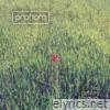 Les petites phrases - Single