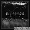 Project Pitchfork - Akkretion