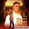 Run Run Run to the Mountain - Single