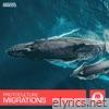 Migrations - Single