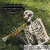 Good Bones (Instrumental) - Single