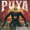 Puya - Fundamental