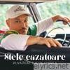 Stele Cazatoare (feat. Tudor Chirila) - Single