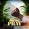 Did You Pray - Single