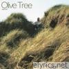 Olive Tree - Single