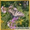Butterflies - Single