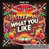 What You Like - EP