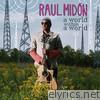 Raul Midon - A World Within a World