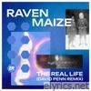 Raven Maize - The Real Life (David Penn Remix) - Single