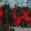 A Forest Fire - EP