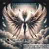 Can't stop me (Remix) - Single