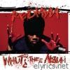 Redman - Whut? The Album