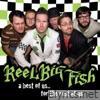 Reel Big Fish - The Best of Us... For the Rest of Us