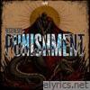 Punishment - Single