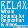 Whale Sounds for Relaxation & Sleep