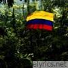 AQUECIMENTO GUARACHA NA SELVA (feat. DJ LOKO, MC Kalzin & Corvina Dj) - Single