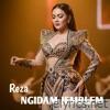 NGIDAM JEMBLEM (feat. Brenggolo) [Live Dangdut Koplo] - Single