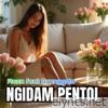 Ngidam Pentol (feat. Brenggolo) [Live Dhahliyya] - Single