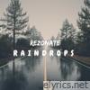 Raindrops (Radio Edit) - Single