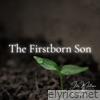 The Firstborn Son (with John Matteson) - EP