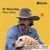 Ol' Stray Dog - Single