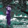 Wasted - Single