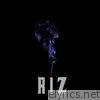 RIZ Instrumentals Vol. 2