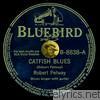 Robert Petway - Catfish Blues