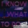 I Know What To Do - DJWS Remix - Single