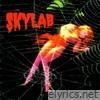 Rogerio Skylab - Skylab