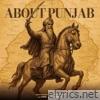 About Punjab (feat. Raees & Mirroronly) - Single