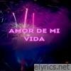Amor De Mi Vida - Single