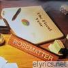 Rosematter - The Fiscal Year