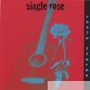 Rosie Flores - single rose
