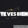Te ves bien - Single