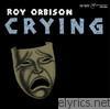 Roy Orbison - Crying (Bonus Track Version)