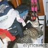 CAT SONG - Single