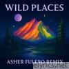 Wild Places (feat. John Craigie & Shook Twins) [Asher Fulero Remix] - Single