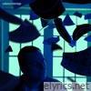 Collateral Damage - Single