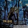 Tribe (feat. Folkstone) [30th Anniversary] - Single