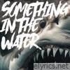 Something in the Water - Single