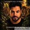 Animales en la selva (feat. Pedro Javier Hermosilla) - Single