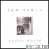 Sam Baker - Pretty World